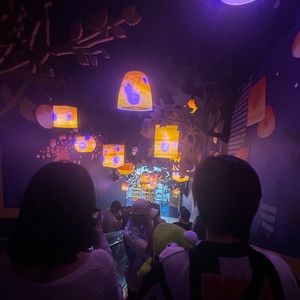 Meet your Posher, Allyson